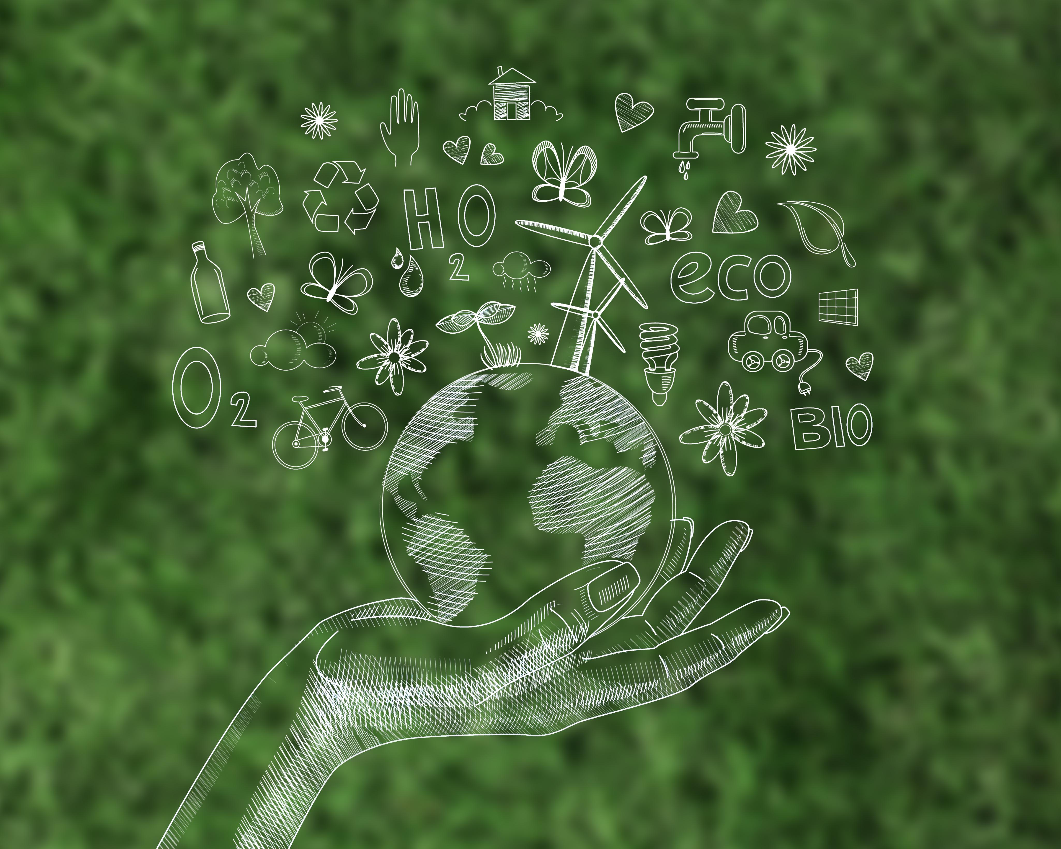 Sustainability and green campus concept